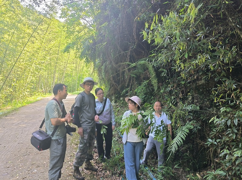 4.南昆山野外考察