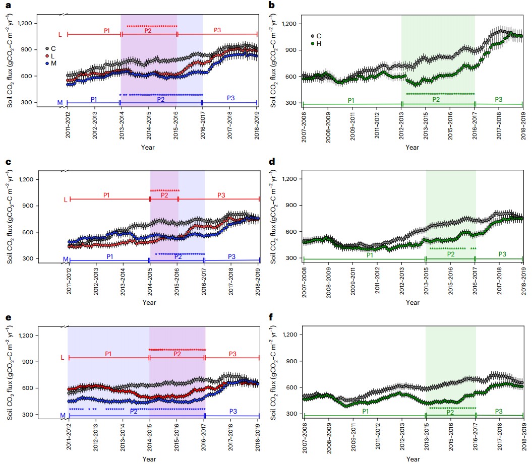 图1. 长期氮添加对鼎湖山森林土壤碳排放的影响