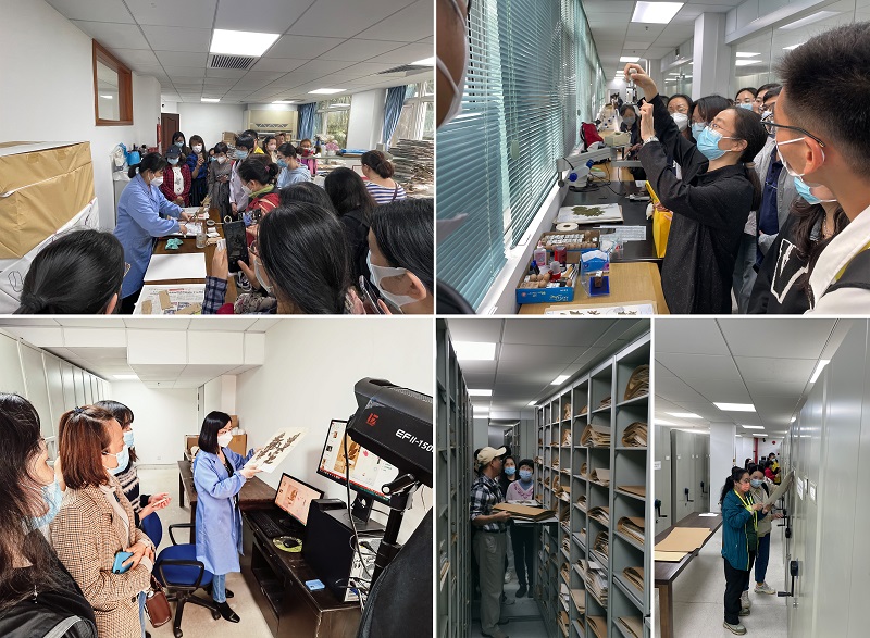 4.标本管理实操