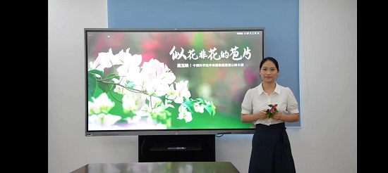 戴玉映讲解似花非花的苞片